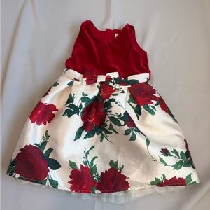 The Children's Place Velvet Red Dress